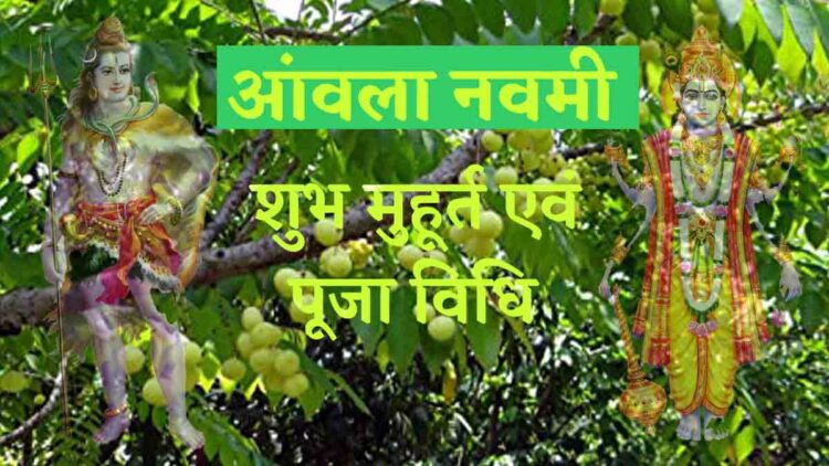 अक्षय नवमी