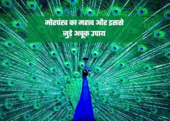 मोरपंख