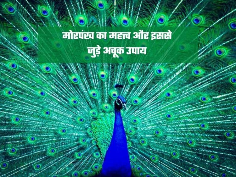 मोरपंख