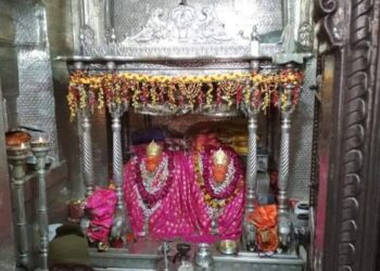 शाकंभरी जयंती